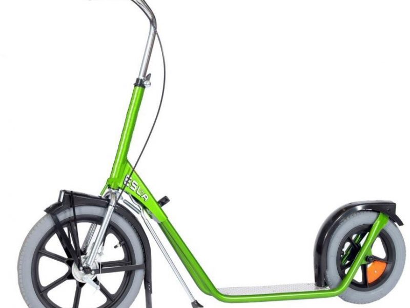 Esla Scooter 4102 step