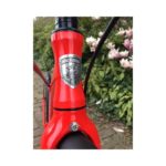 Kickbike Safari Limited Edition