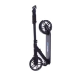 Rideoo 200 City step