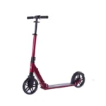Rideoo 200 City step